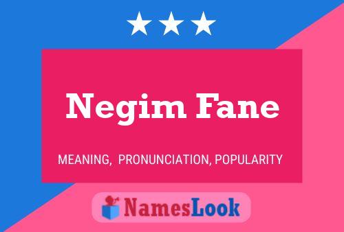 Negim Fane Naam Poster