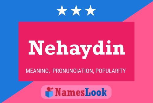 Nehaydin Naam Poster