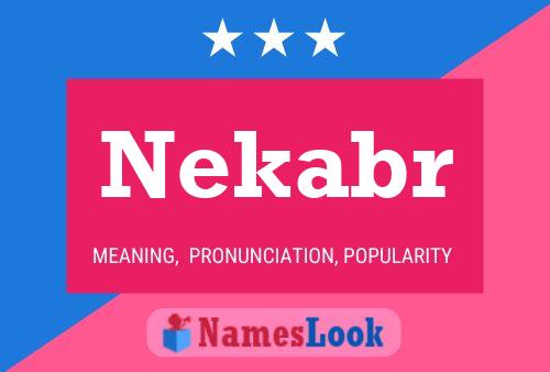 Nekabr Naam Poster