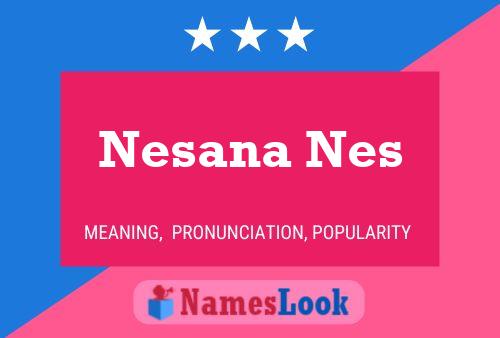 Nesana Nes Naam Poster