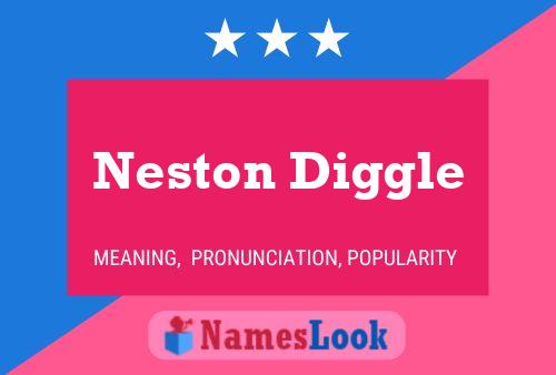 Neston Diggle Naam Poster