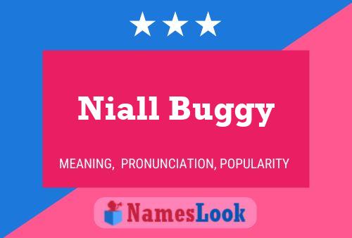 Niall Buggy Naam Poster