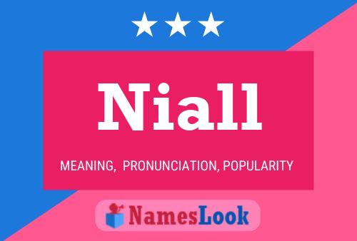 Niall Naam Poster