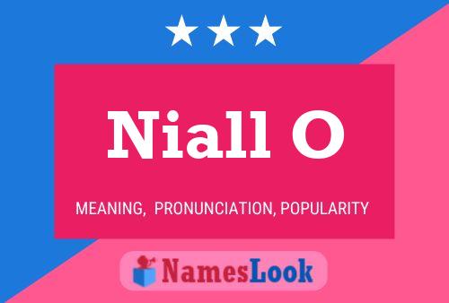 Niall O Naam Poster