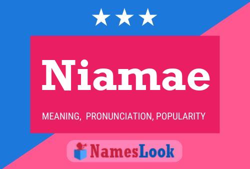 Niamae Naam Poster