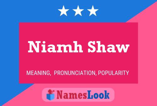 Niamh Shaw Naam Poster