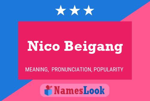 Nico Beigang Naam Poster