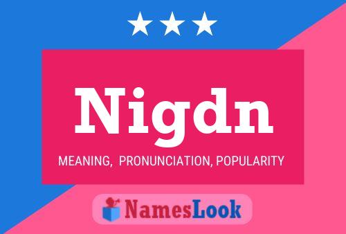 Nigdn Naam Poster