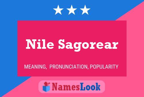 Nile Sagorear Naam Poster