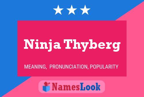 Ninja Thyberg Naam Poster