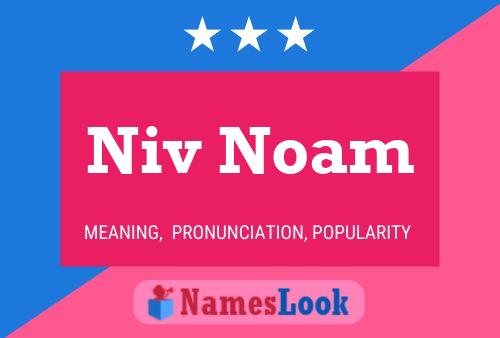 Niv Noam Naam Poster