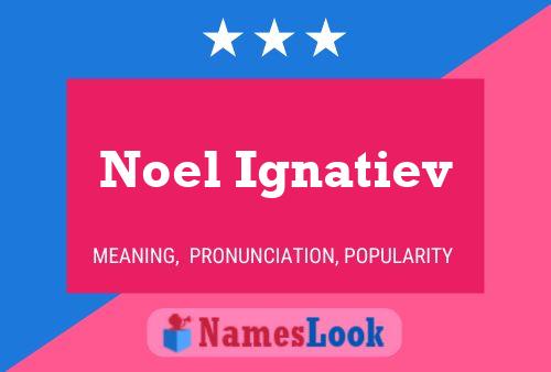 Noel Ignatiev Naam Poster