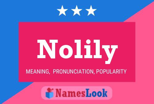 Nolily Naam Poster