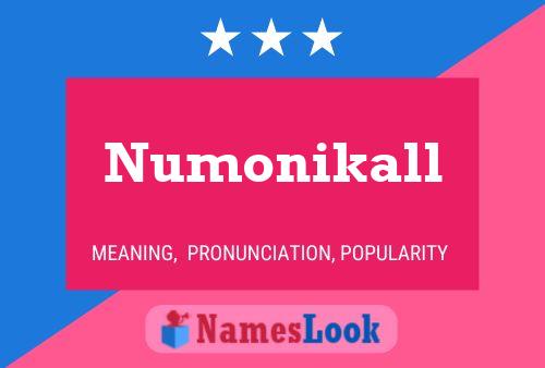 Numonikall Naam Poster