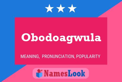 Obodoagwula Naam Poster