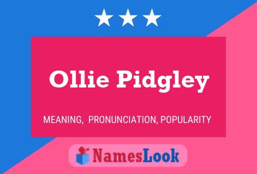 Ollie Pidgley Naam Poster