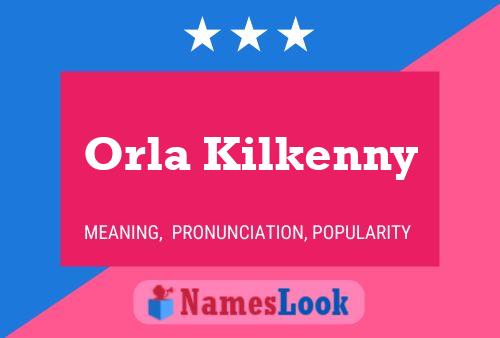 Orla Kilkenny Naam Poster