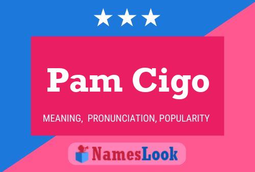 Pam Cigo Naam Poster