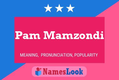 Pam Mamzondi Naam Poster