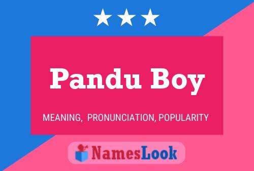 Pandu Boy Naam Poster