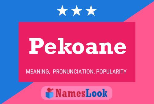 Pekoane Naam Poster