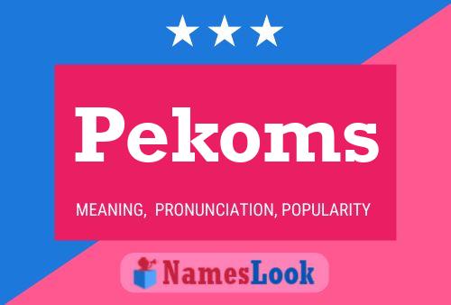 Pekoms Naam Poster