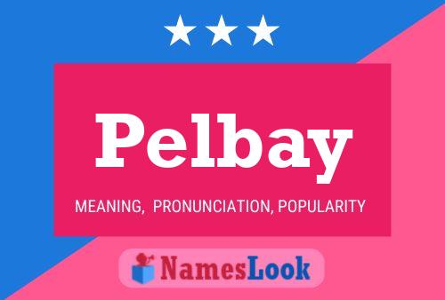 Pelbay Naam Poster