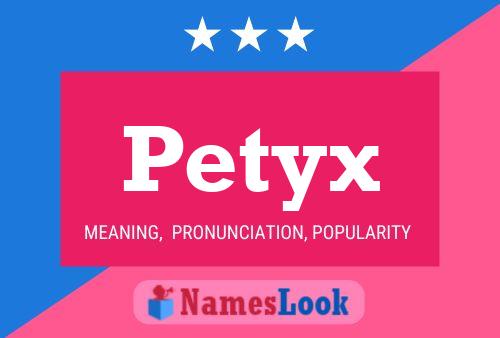 Petyx Naam Poster