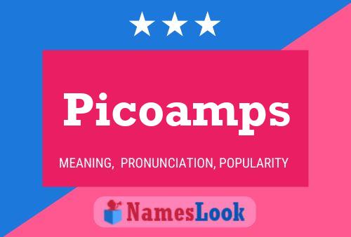 Picoamps Naam Poster