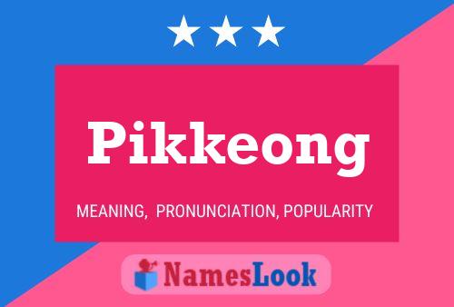 Pikkeong Naam Poster