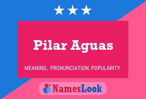 Pilar Aguas Naam Poster