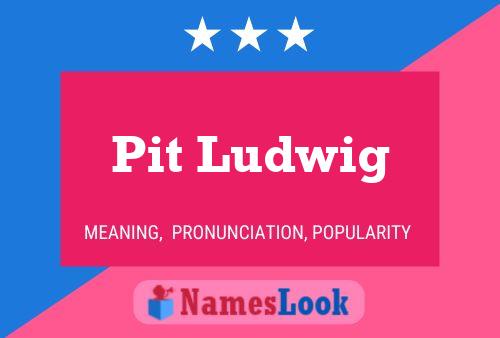 Pit Ludwig Naam Poster