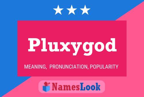 Pluxygod Naam Poster