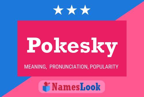 Pokesky Naam Poster