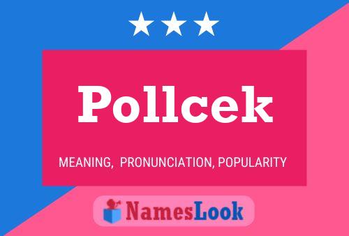 Pollcek Naam Poster