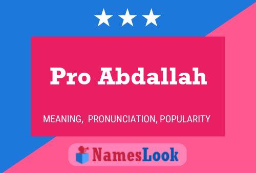 Pro Abdallah Naam Poster