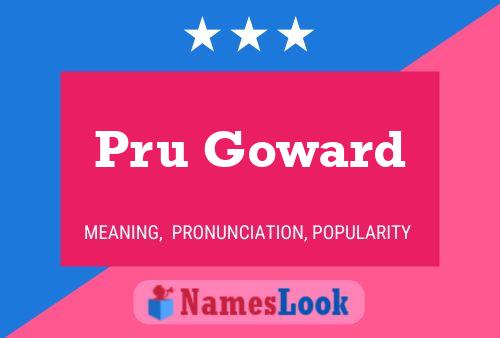 Pru Goward Naam Poster