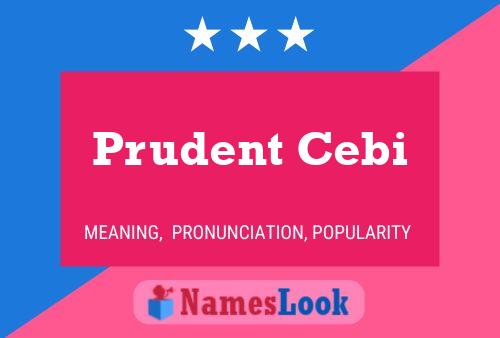 Prudent Cebi Naam Poster