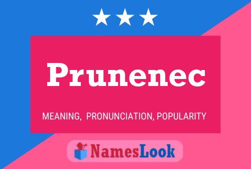 Prunenec Naam Poster