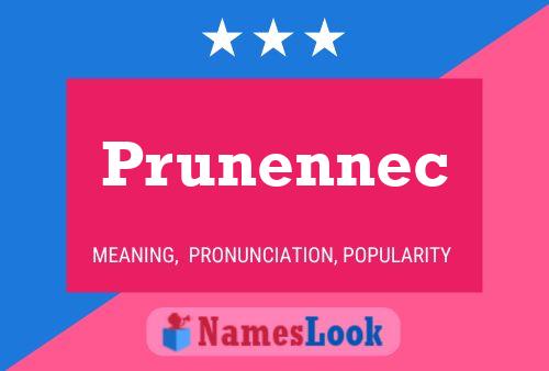 Prunennec Naam Poster