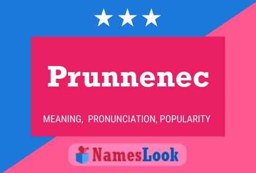 Prunnenec Naam Poster