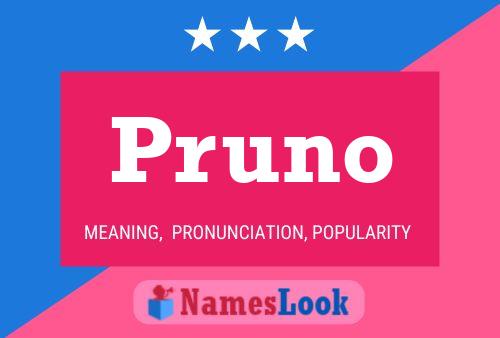 Pruno Naam Poster