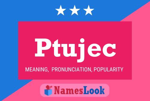 Ptujec Naam Poster