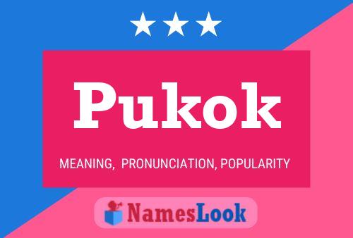 Pukok Naam Poster