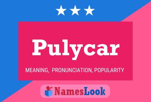 Pulycar Naam Poster