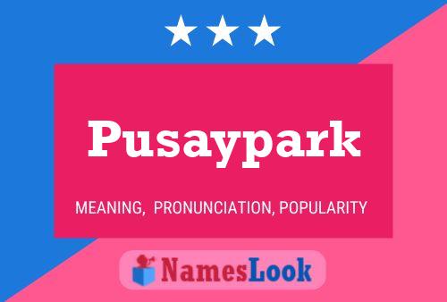 Pusaypark Naam Poster