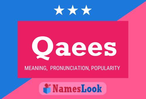 Qaees Naam Poster