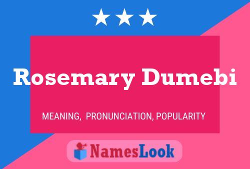 Rosemary Dumebi Naam Poster