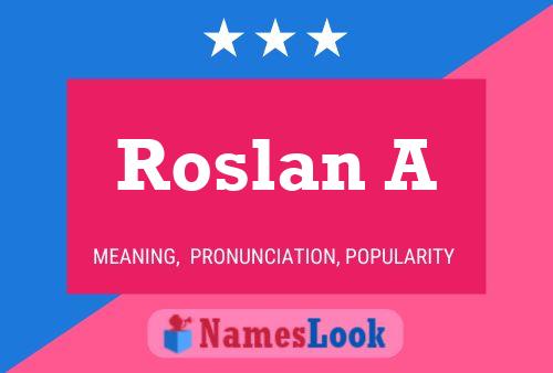 Roslan A Naam Poster