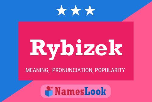 Rybizek Naam Poster